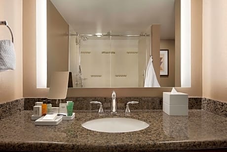 1 King 1 Bedroom Executive Suite