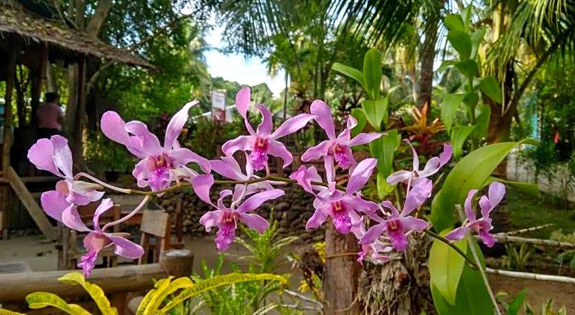 Toris Backpackers Paradise