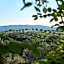 Agriturismo Tesorino