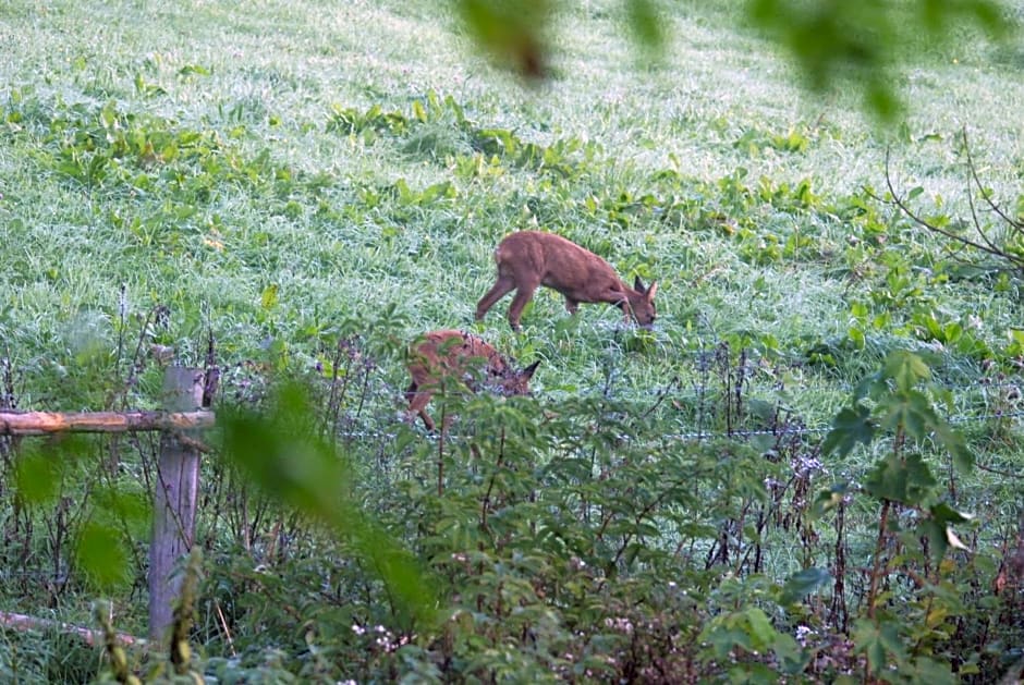 B&B Het Groote Genoegen