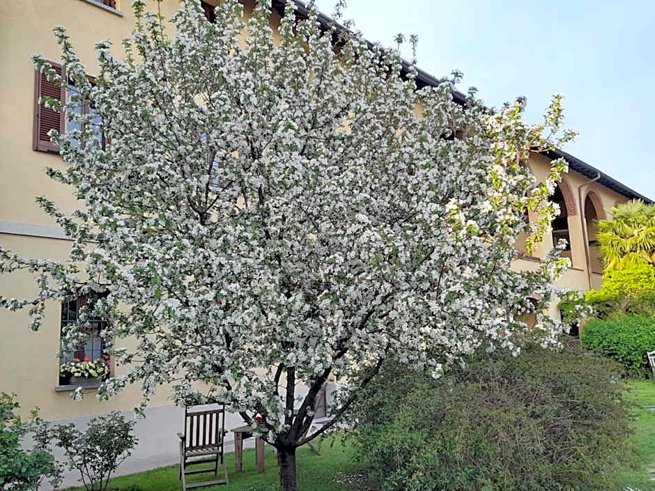 Cascina delle Mele