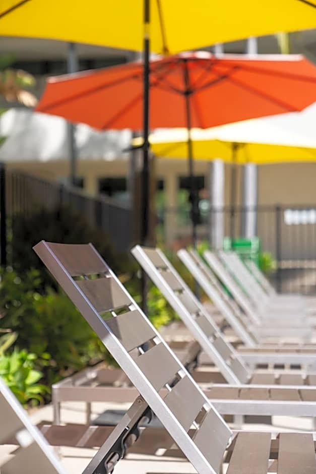 Lemon Tree Inn