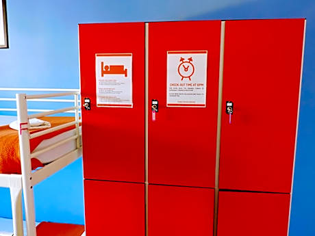 Bed in 6-Bed Dormitory Room