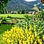 Pension Arnica B&B