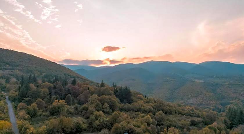 HORIZONS Bakurtsikhe