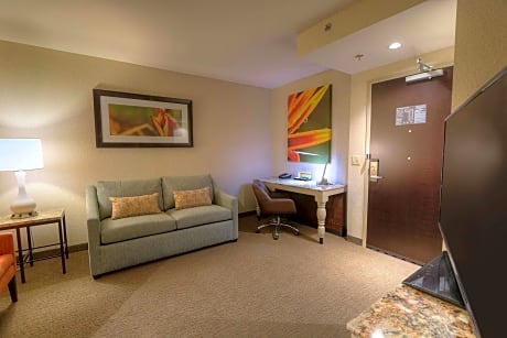 Junior King Suite with Sofa Bed