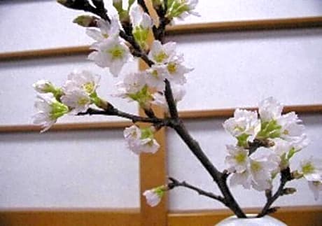 Wakaba Ryokan / Vacation STAY 29366