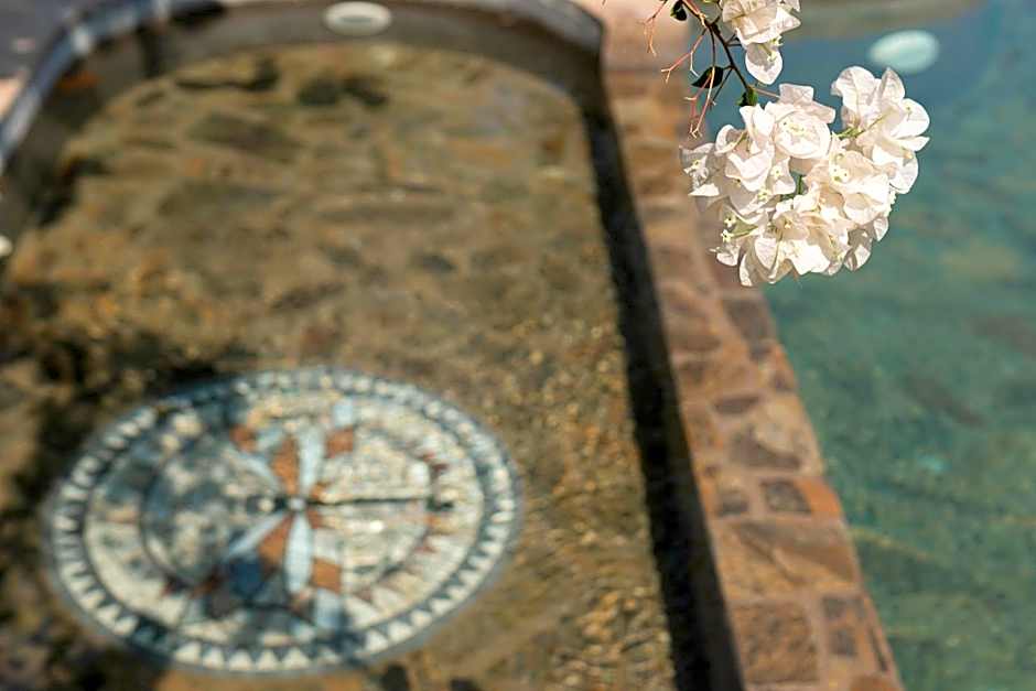 Casa De Las Libélulas-Oaxaca