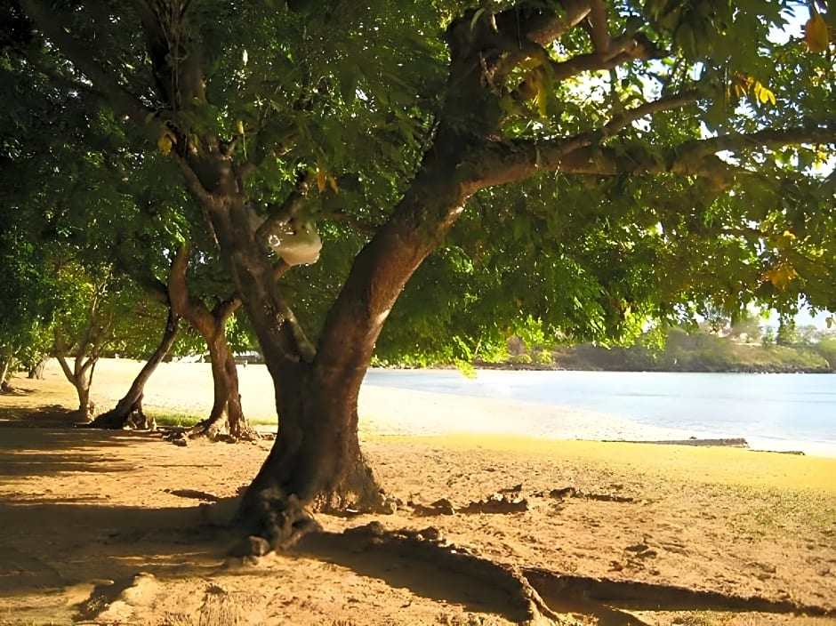 Le Cactus Guest House