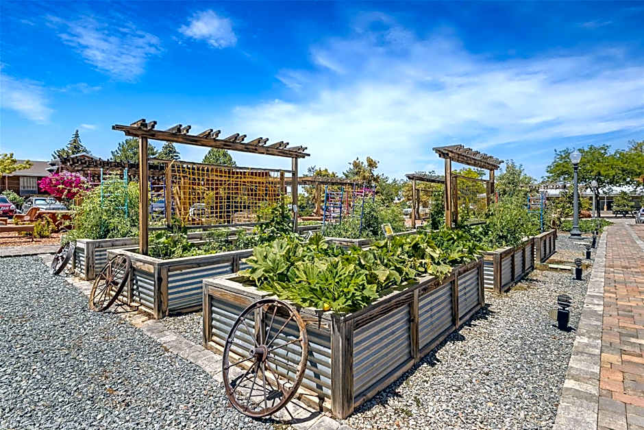 Best Western Plus Cedar City