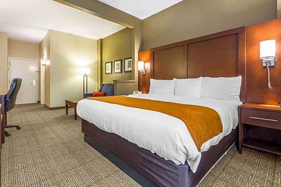 Comfort Suites At the University