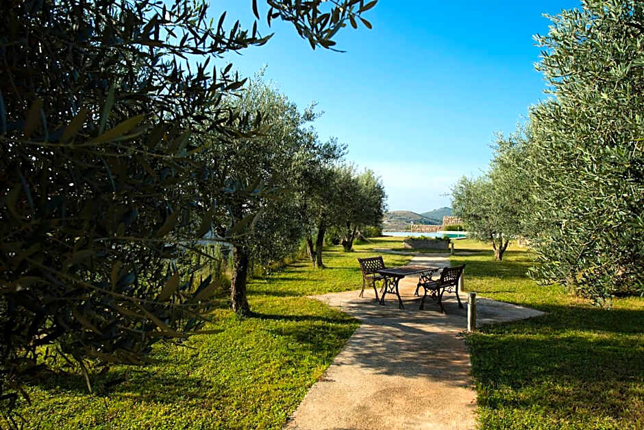 Collina Degli Ulivi B&B