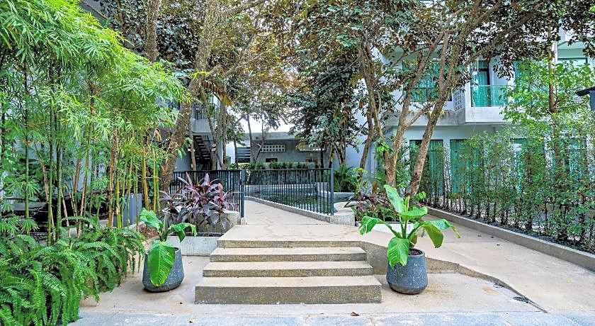 Rainforest Hotel by NSUN