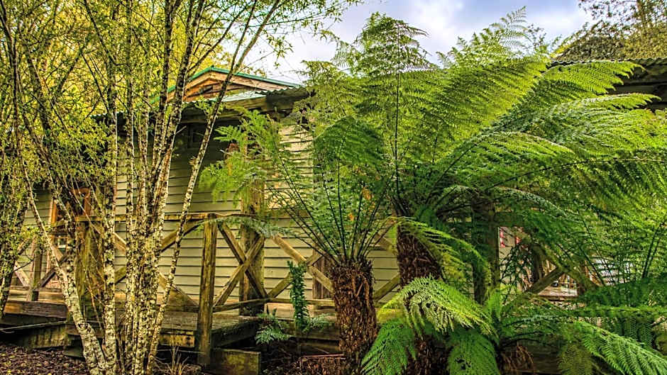Cradle forest inn