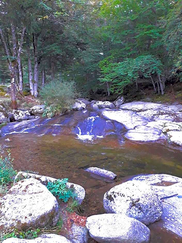 Le pont du moulin