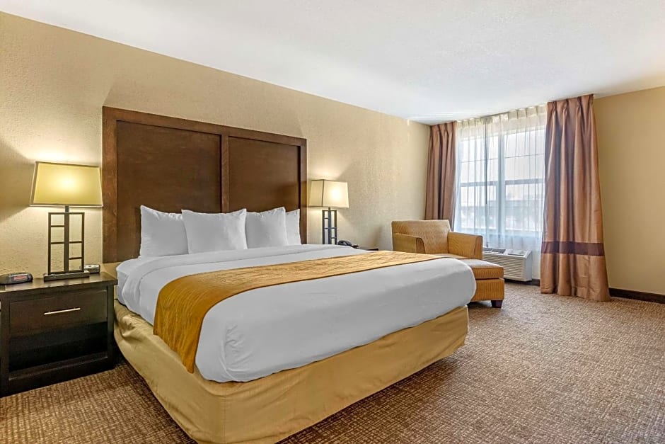 Comfort Inn & Suites Allen Park - Dearborn