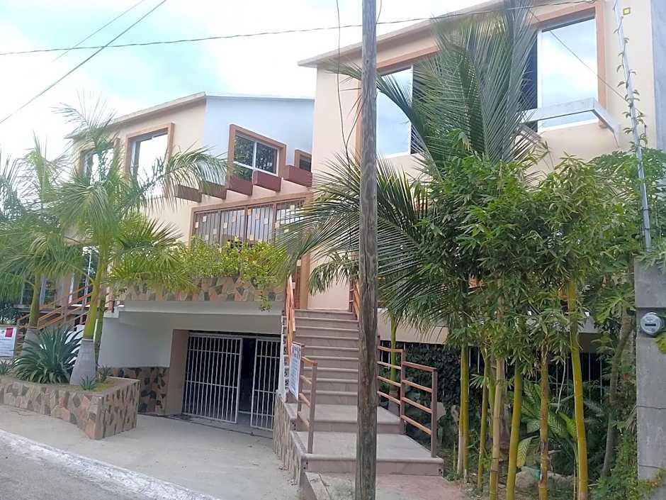 Palmas de Chahue