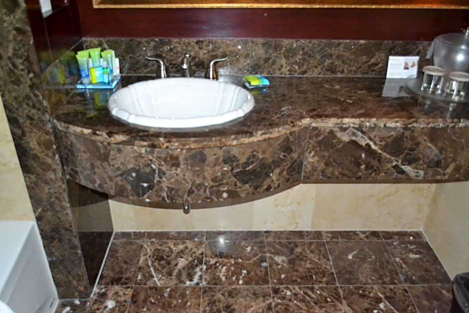 Radisson Hotel Toronto Airport West