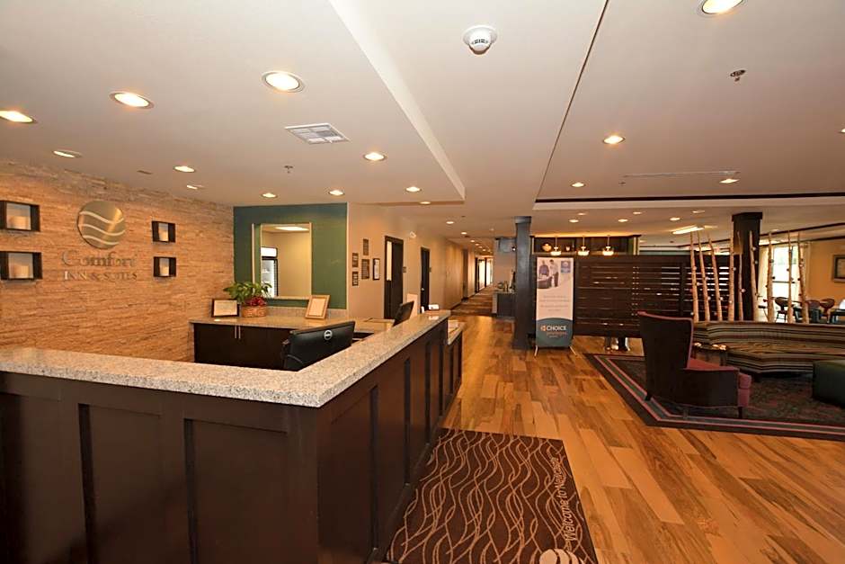 Comfort Inn & Suites - Newcastle
