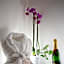 ETNEA 208 LUXURY JACUZZI SUITE Catania