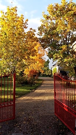 Chambre d'hôtes - Le jardin des Patissons