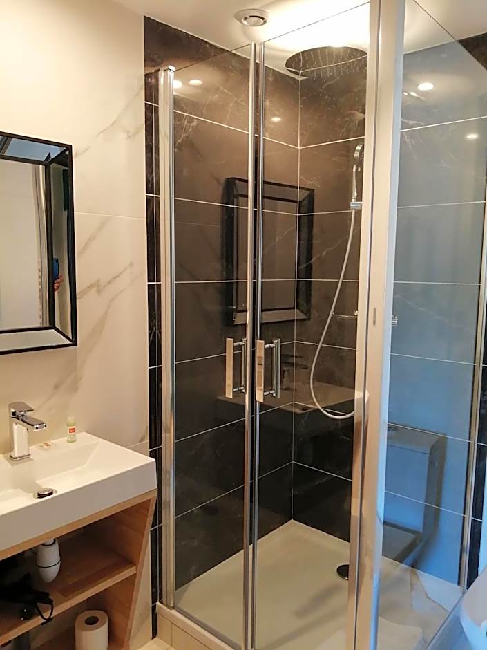 Hotel Du Cygne Tours