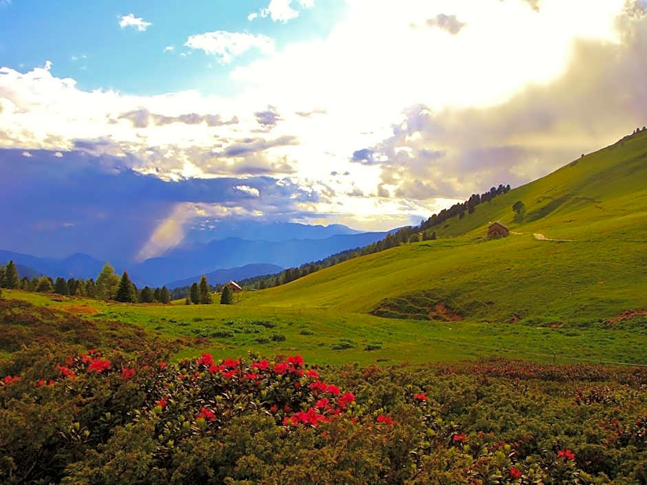 Berghotel Jochgrimm - Your Dolomites Home