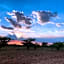 Kigeni Safari Lodge & Spa