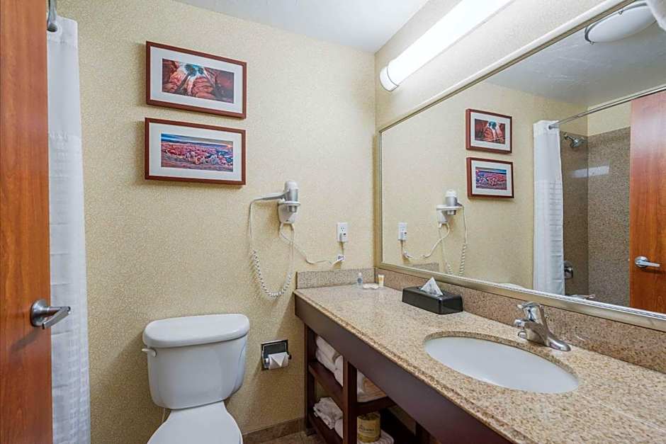 Comfort Inn And Suites Cedar City