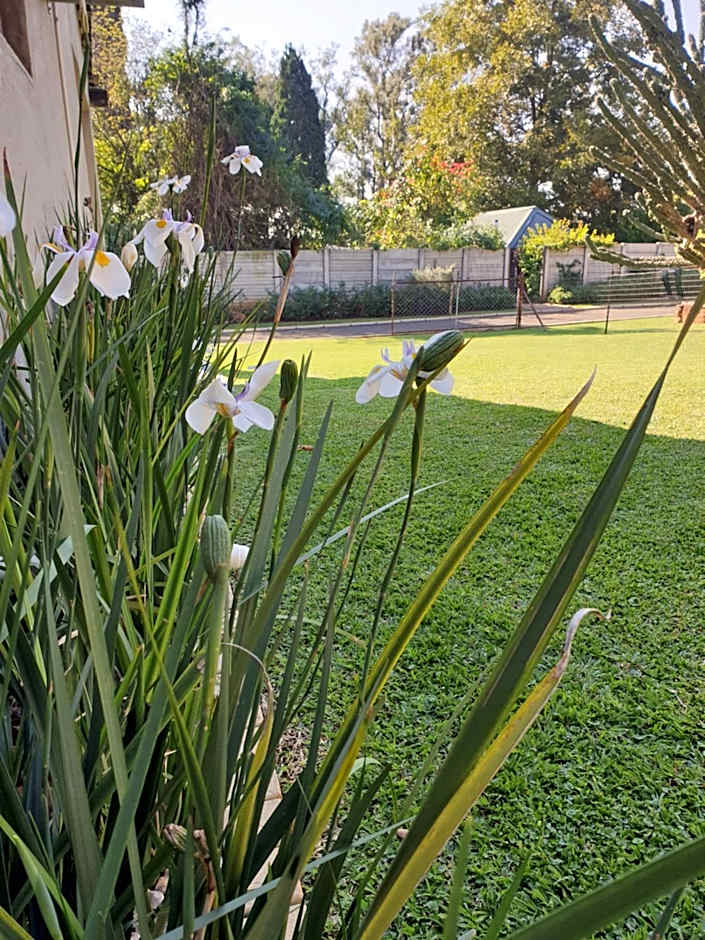 Haggards on Hilldrop