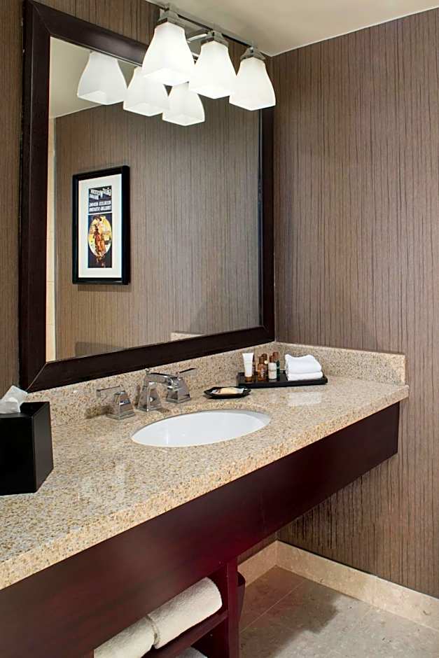 Sheraton North Houston At George Bush Intercontinental