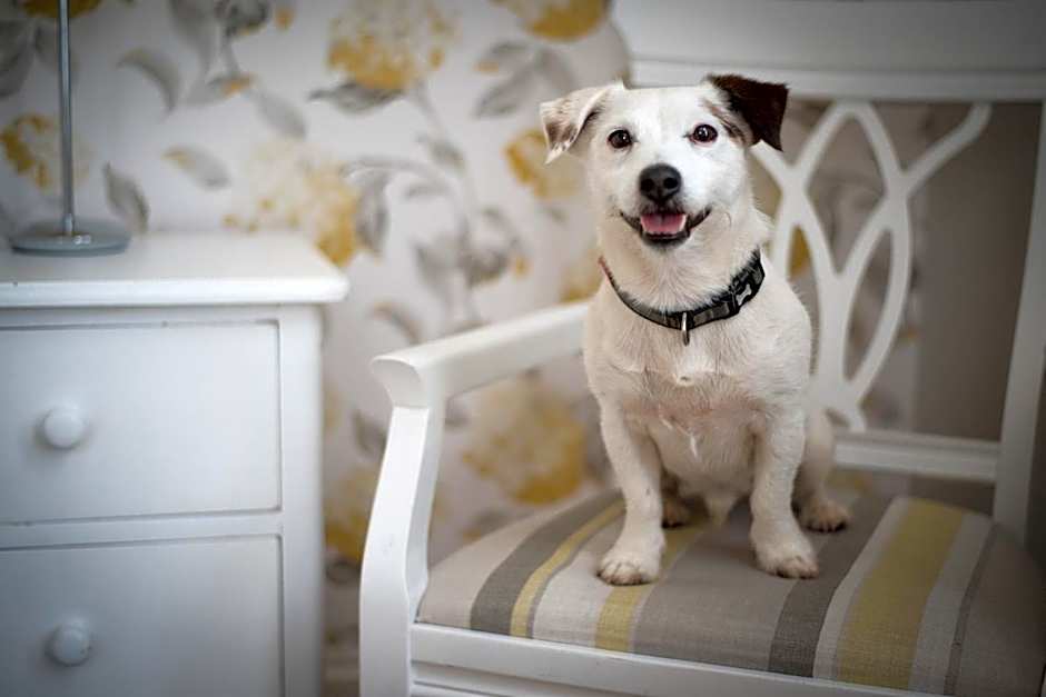 The Kings Arms Otterton