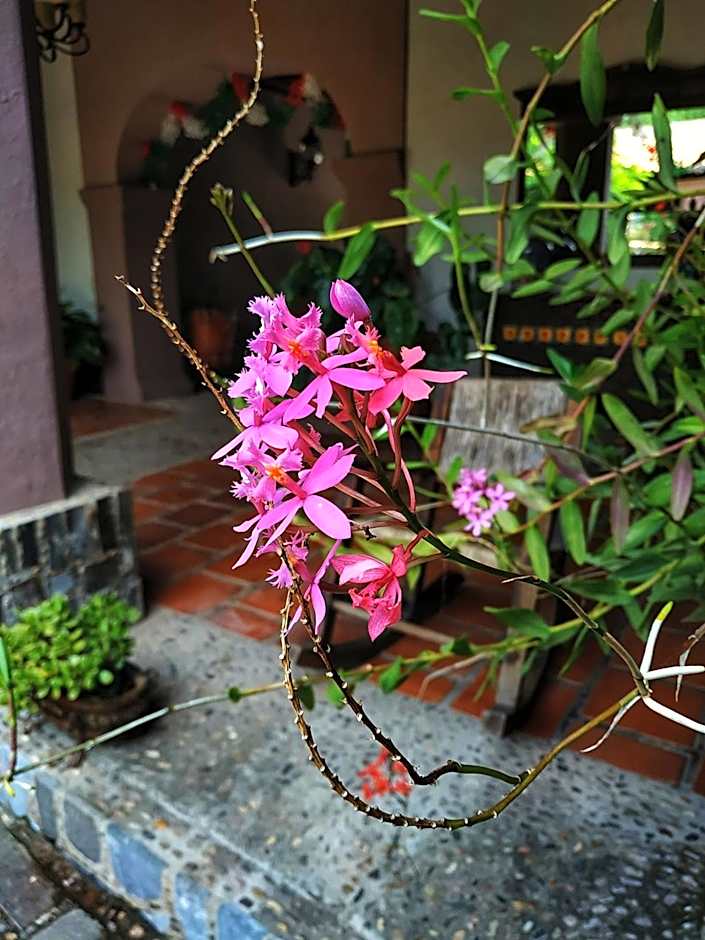 La Casona De La Esmeralda