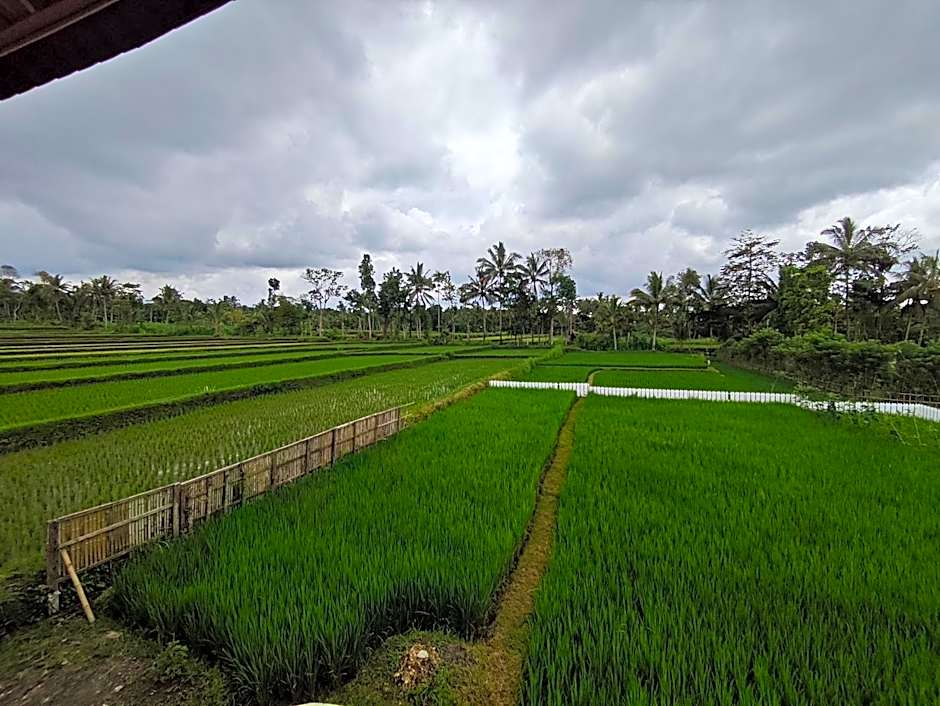 Tetebatu Flush Harmony