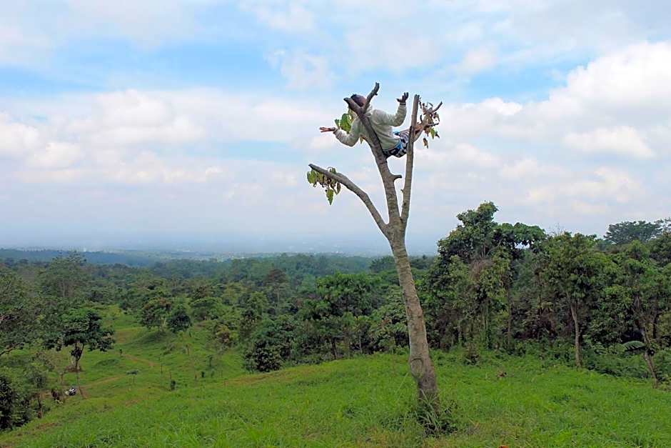 Pondok Indah Bungalows Tetebatu
