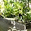 Mina Pelasa Hotel