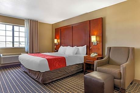 Superior King Suite with Sofabed- Non-Smoking