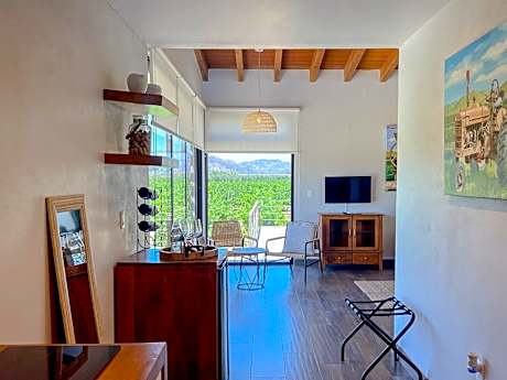 Twin Room with Terrace