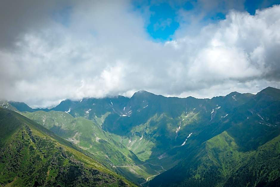 Best Western Dalhousie