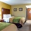 Comfort Inn Columbia - Bush River