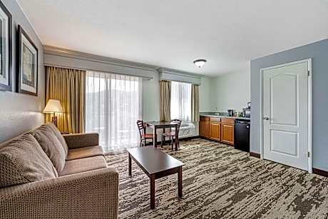 Suite-1 King Bed Non-Smoking Balcony Sofabed Microwave Fridge Wi-Fi Continental Breakfast