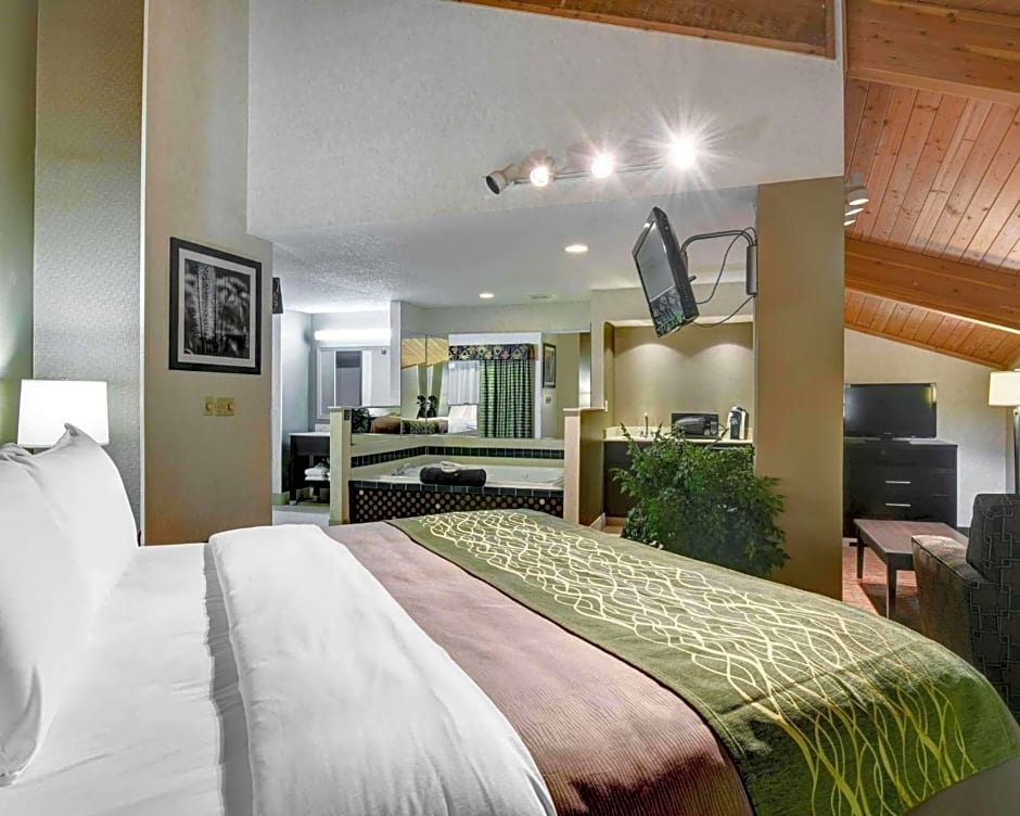 Comfort Inn - Painesville