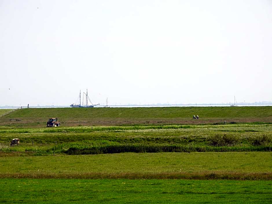 De Stormvogel