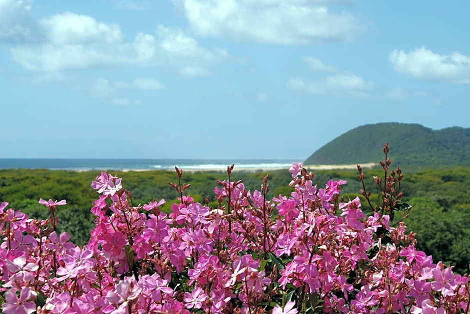 Ndiza Lodge and Cabanas