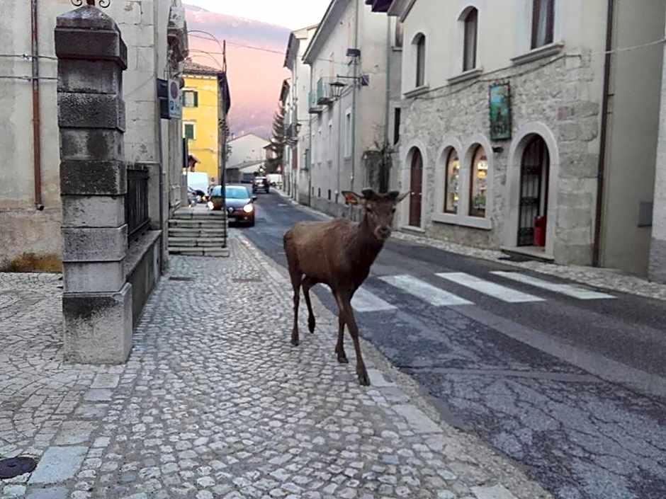 Il rifugio nel parco