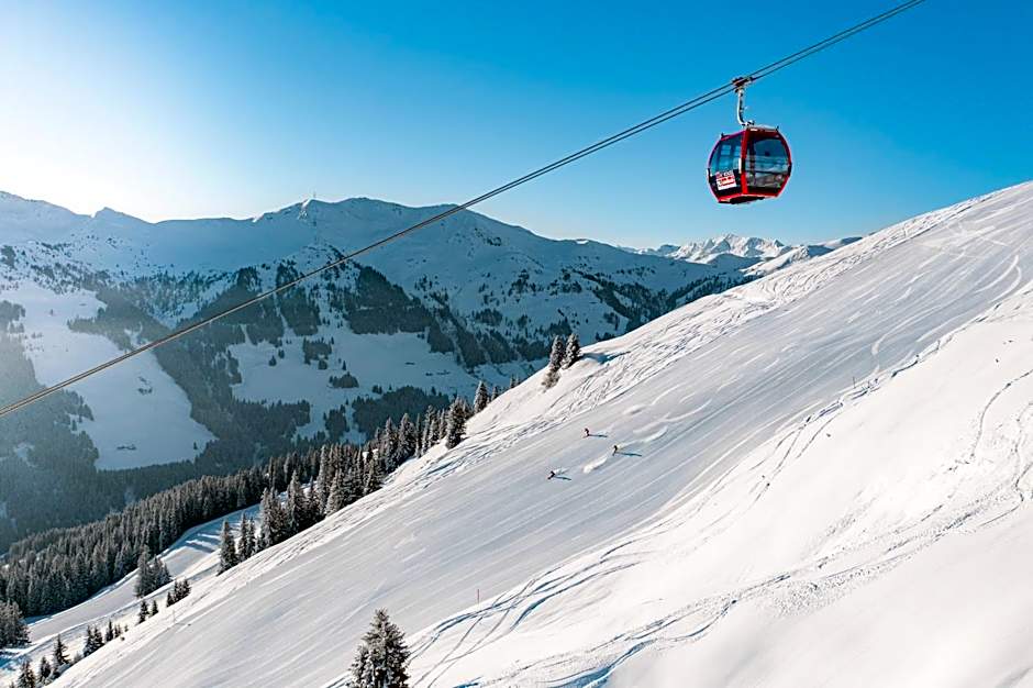 AlpenParks Chalet & Apartment Steve Lodge Viehhofen