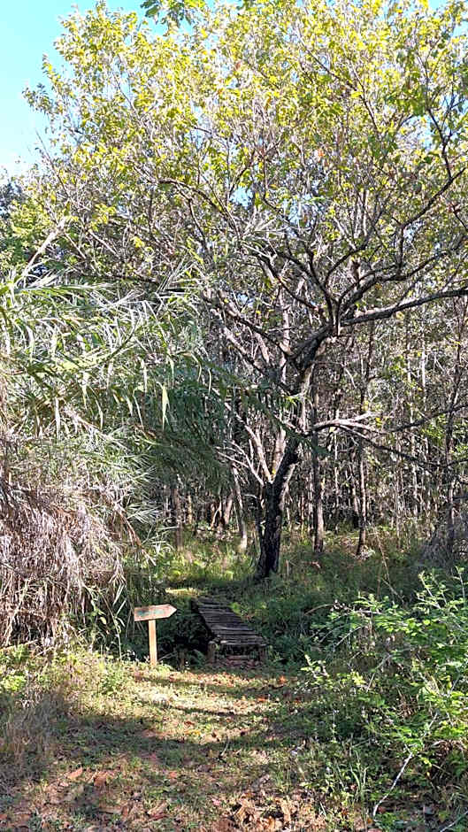 Greenfire Hazyview Lodge