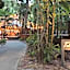 Cape Tribulation Beach House