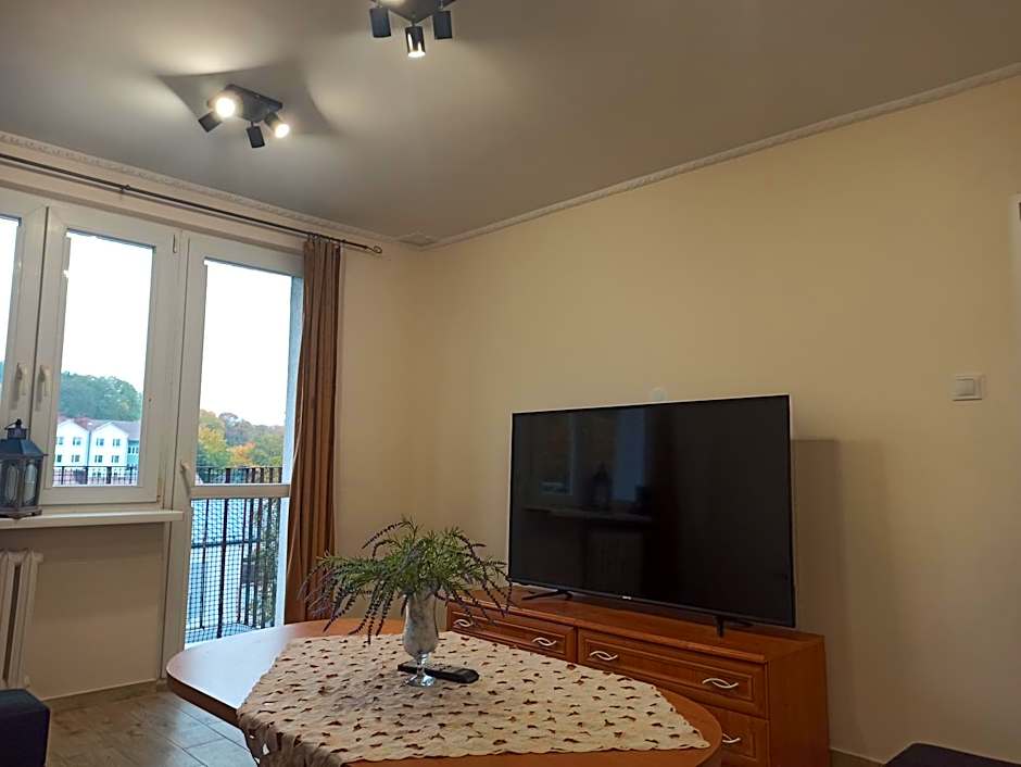 APARTAMENT CENTRUM Międzychód