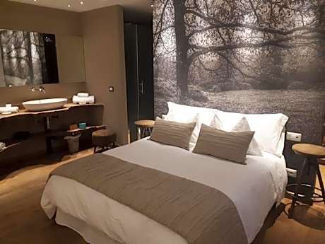 Junior Suite with Sauna